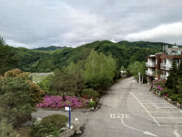 KakaoTalk_20200520_141119689.jpg